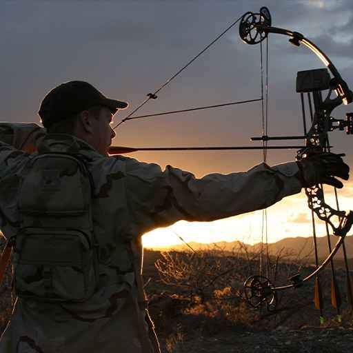 chasse à l'arc - zone300