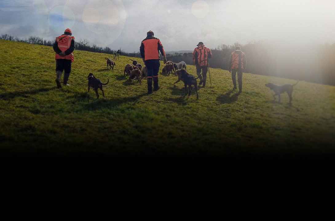 Chasse en battue - Zone300