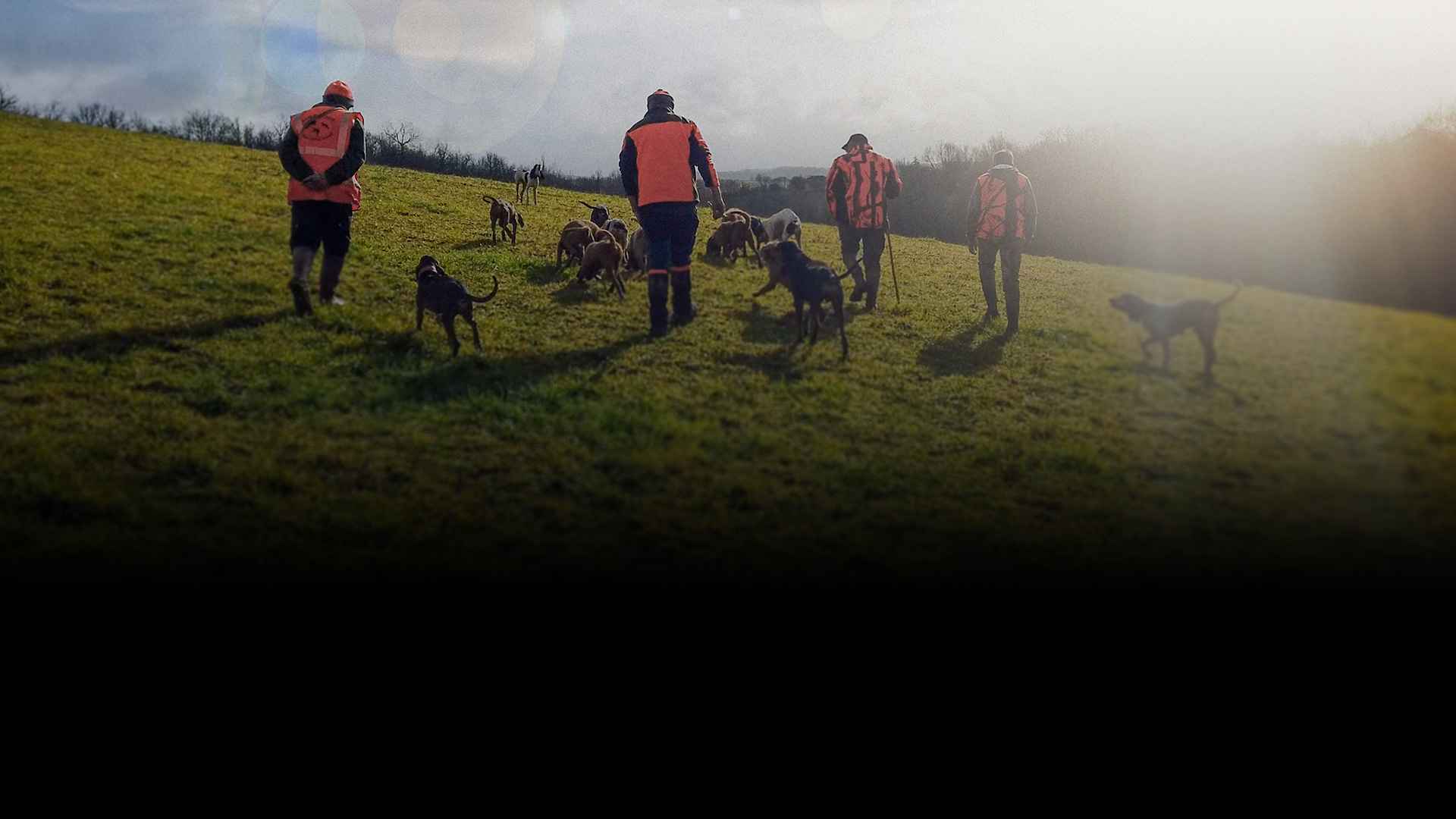 Chasse en battue - Zone300