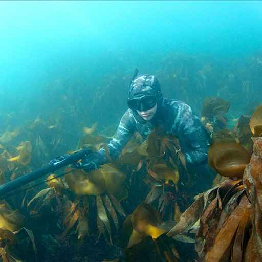 chasse sous marine - zone300