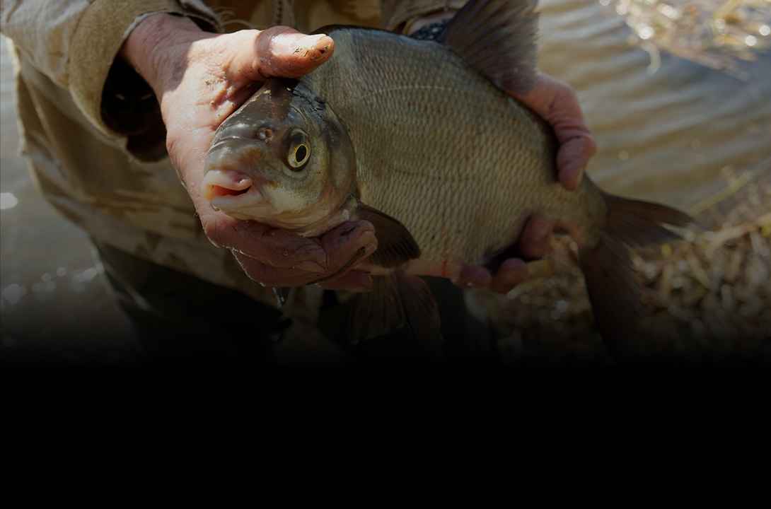 pêche à l'anglaise - Zone300