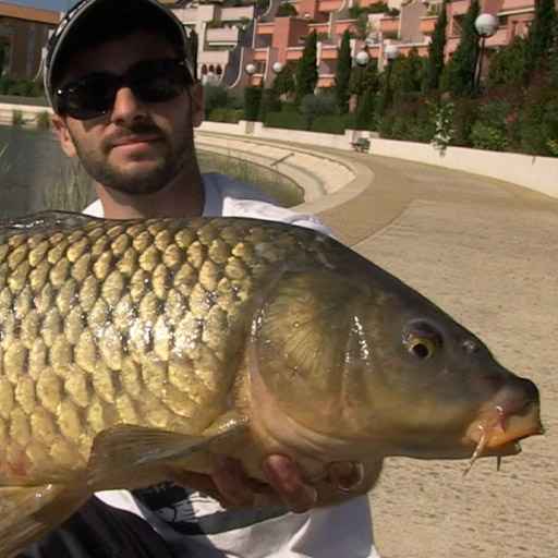 pêche en streetfishing - zone300