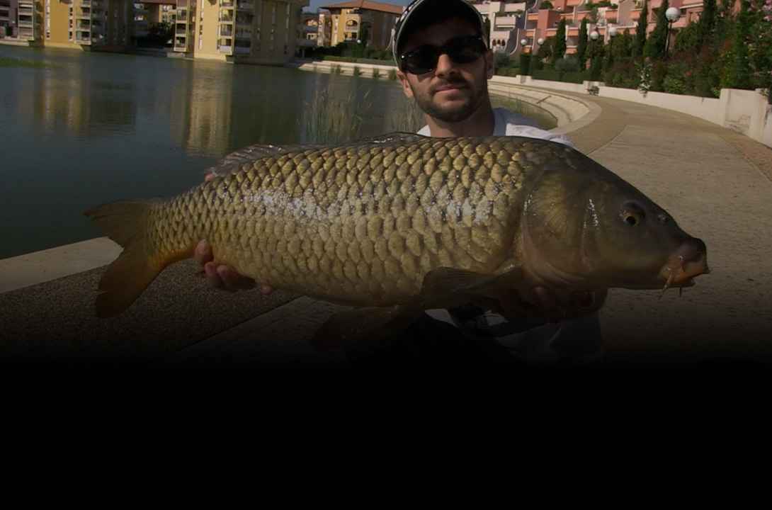 pêche en streetfishing - Zone300