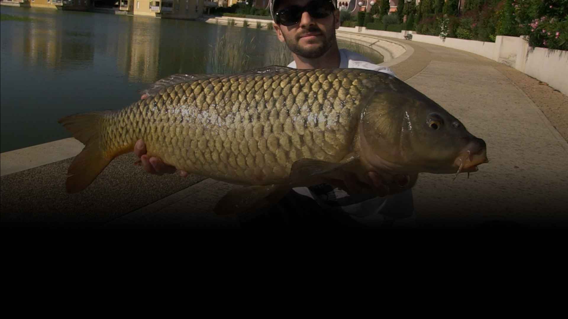 pêche en streetfishing - Zone300