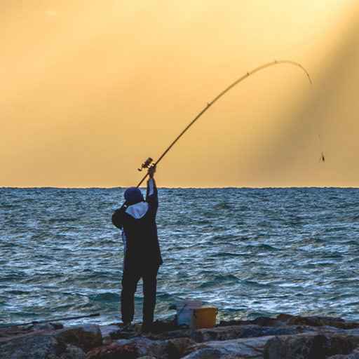 pêche en surfcasting - zone300