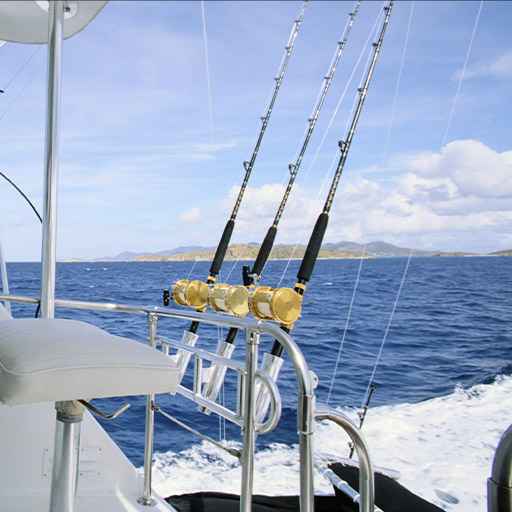 pêche en mer - zone300